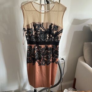 Elegant Black and Tan Dress